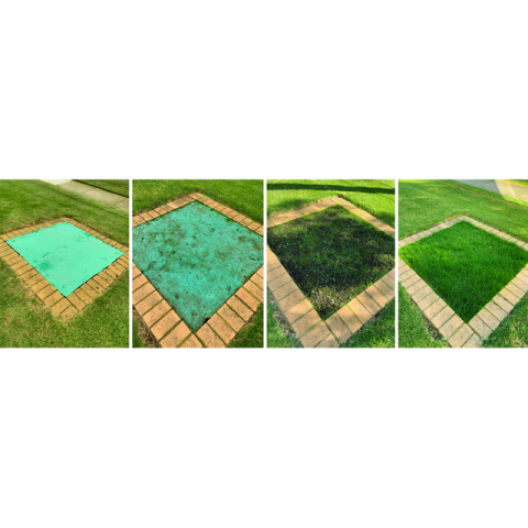 TURFQUICK Shadow Tohum Halısı 10m2