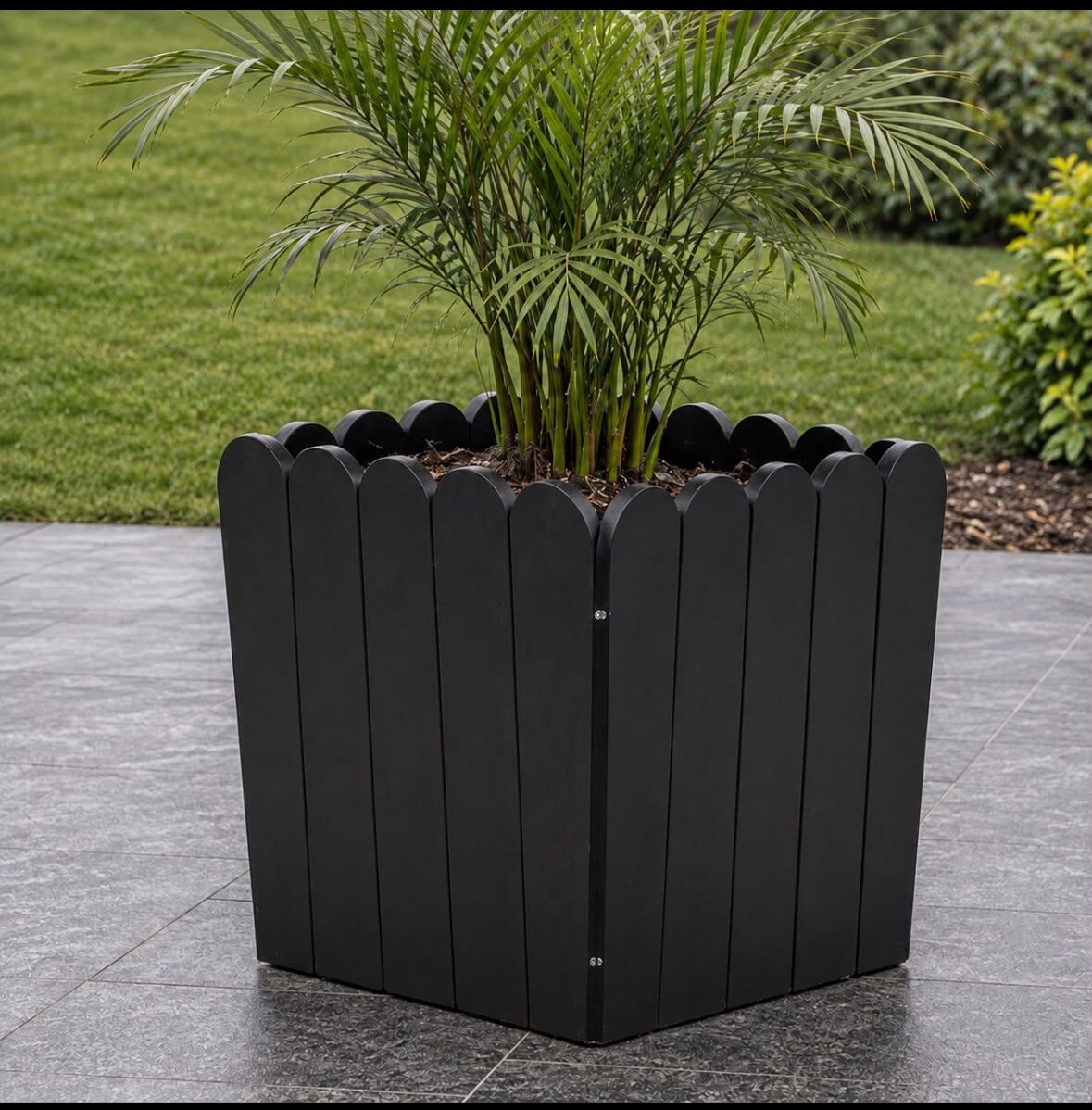 Gardenza Konik Saksı