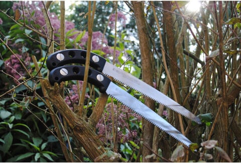 Silky KSI310427 Gomtaro Budama Testeresi 270-13