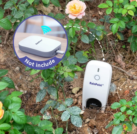 RainPoint HCS021FRF WİFİ NEM SENSÖRÜ BÜYÜK + HWG023WBRF MİNİ BOX HUB