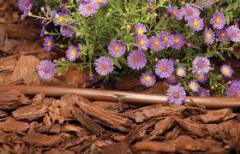 XFD2333100 Serisi 2,3 L/Saat Kahverengi Damlama Borusu