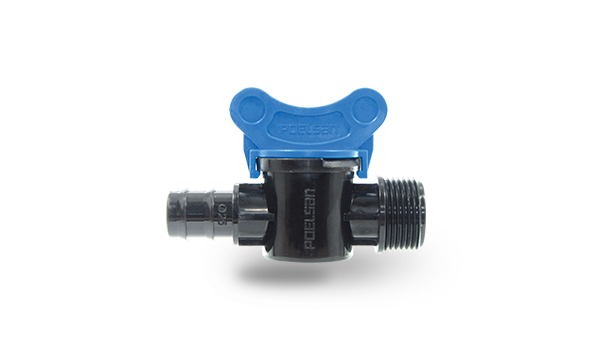 Mini Vana (Kurtağzı-Erkek)